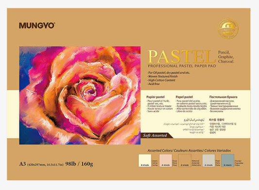 Mungyo Professional Pastel Paper Pad Soft Assorted