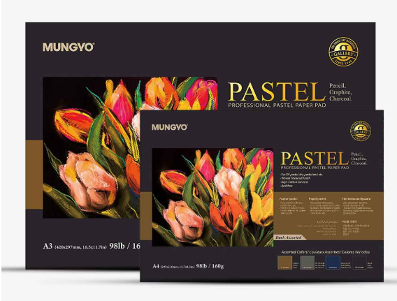 Mungyo Professional Pastel Paper Pad Dark Assorted